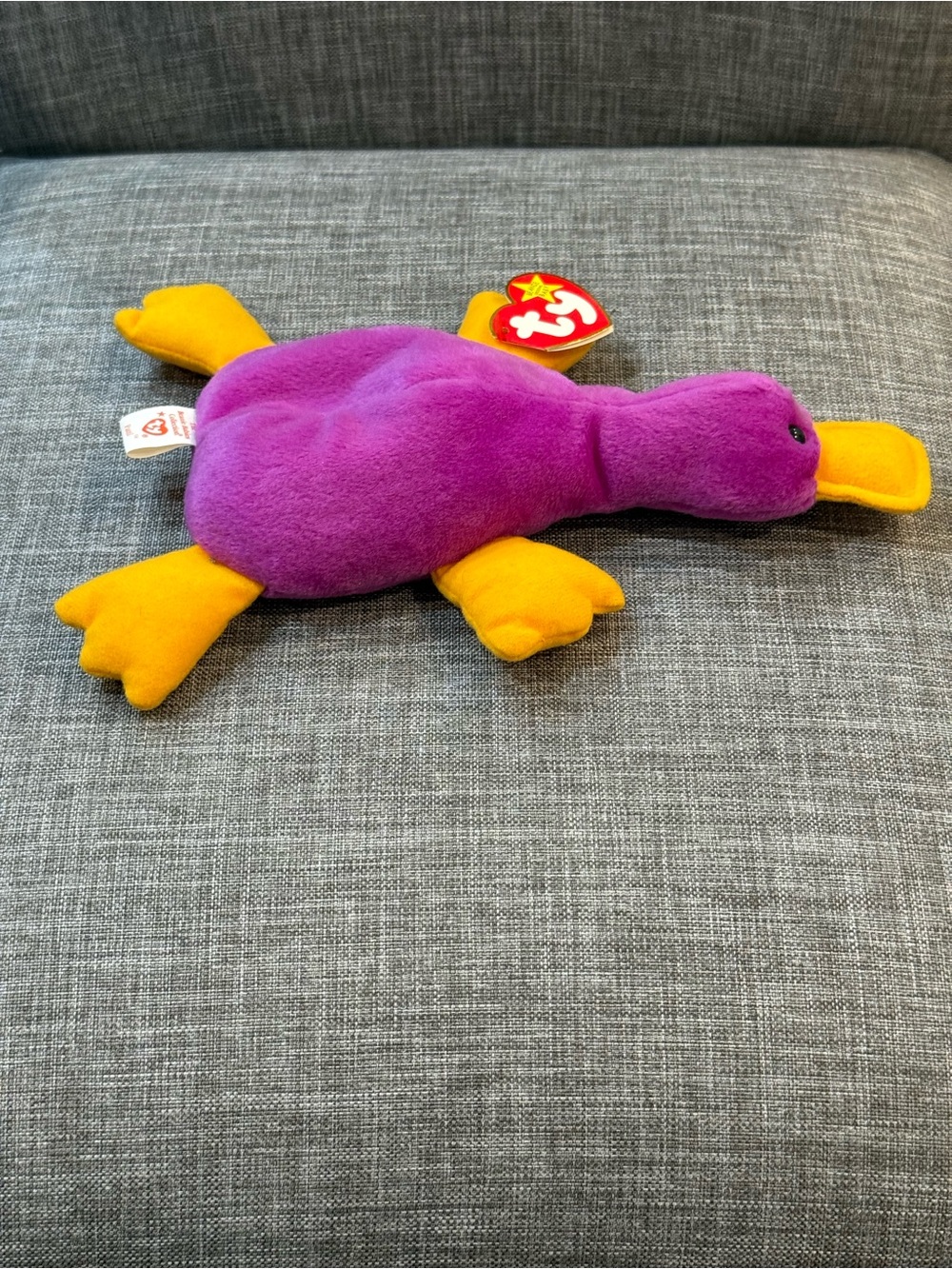 Patti the Platypus Ty Beanie Baby NWT - Picture 4 of 8